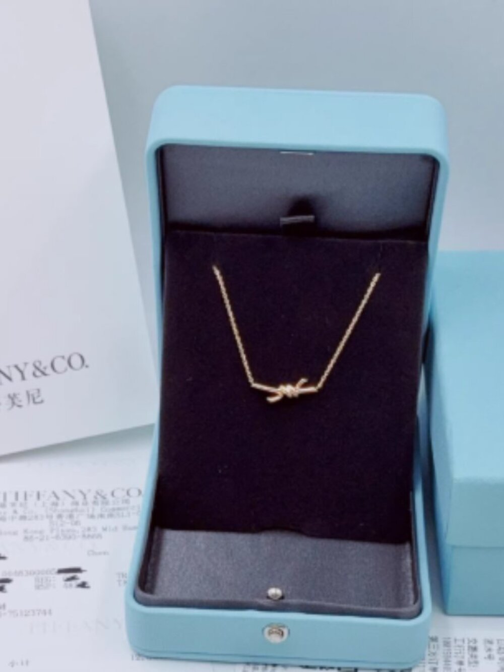 Tiffany Elegant Necklace